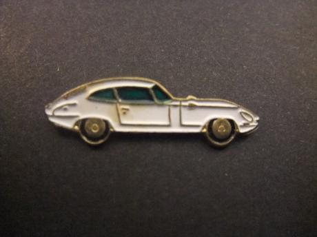 Jaguar E-Type 1961-1968 wit model